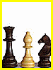 15_16_index_ajedrez