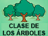 Blog Clase de los Ärboles Blog Clase de los Ärboles