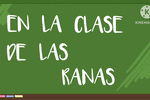 Duendes-Ranas-Trimestre2y3