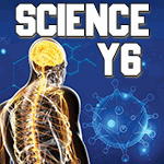 blog Y6 science 22-23